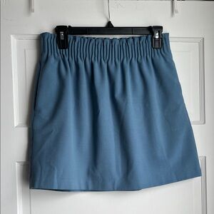 J. Crew Blue Women's Skirt